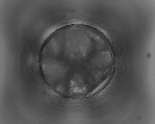 X0000091951263200710041001