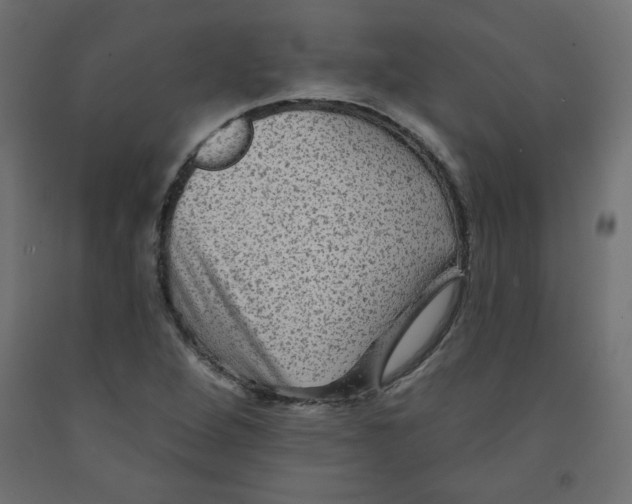 X0000091951264200710041001