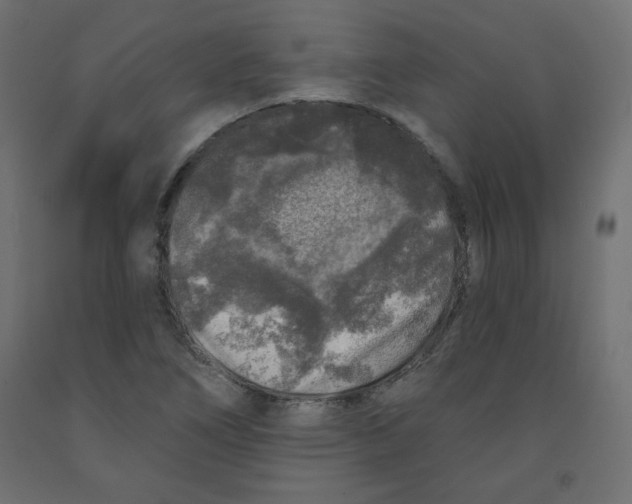 X0000091951266200710041001