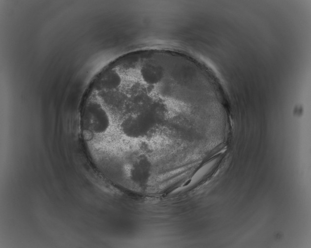X0000091951267200710041000