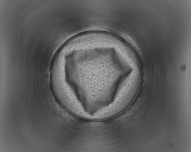 X0000091951268200710041000