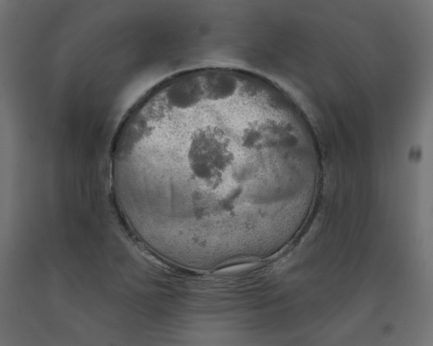 X0000091951271200710041000