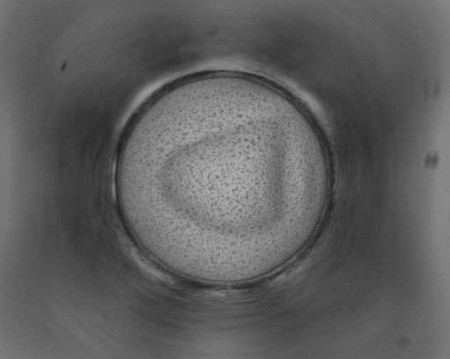 X0000091951272200710041000