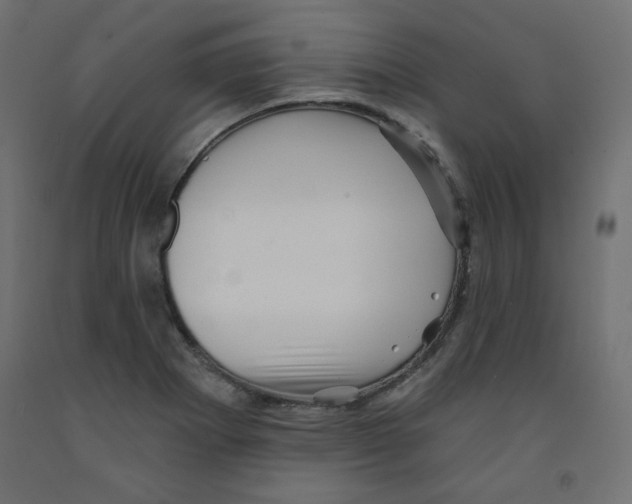 X0000091951273200710041000
