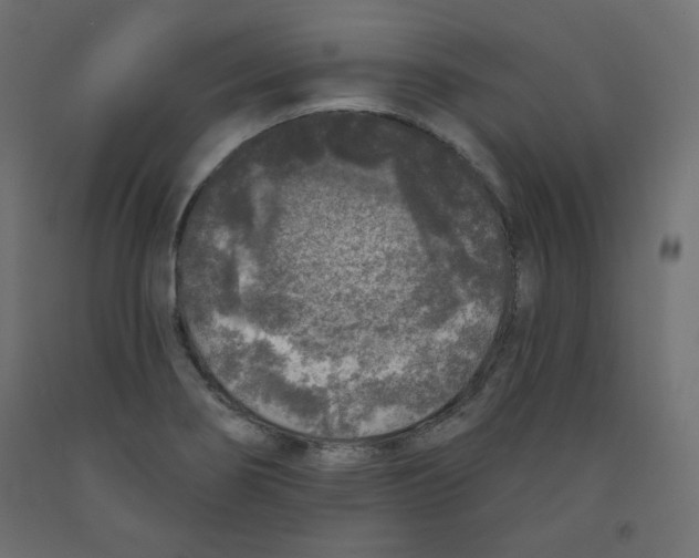 X0000091951274200710041000