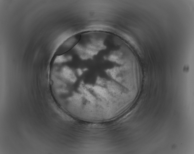 X0000091951275200710041000