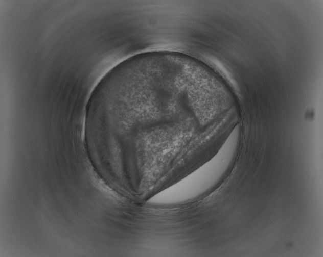 X0000091951276200710041000