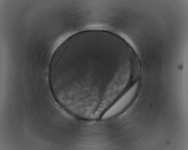 X0000091951277200710041000