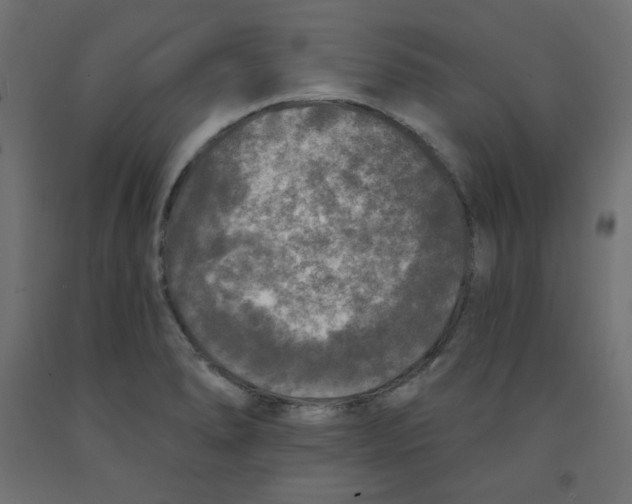 X0000091951278200710041000