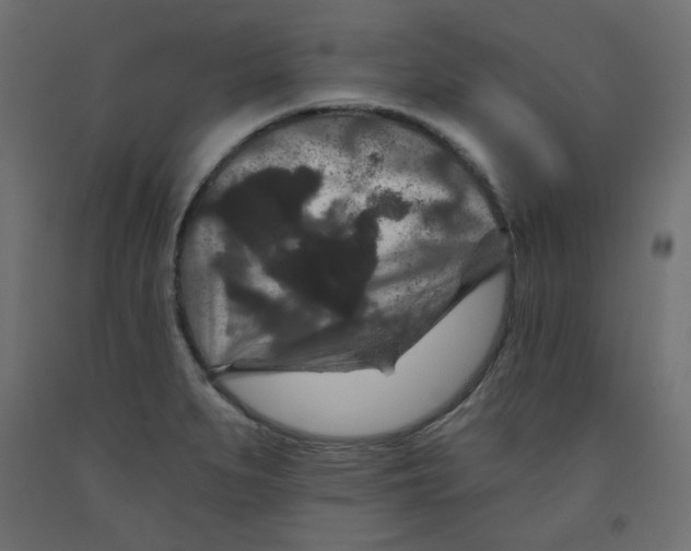 X0000091951279200710041000