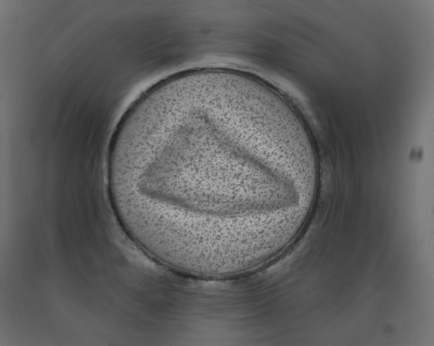 X0000091951280200710041000