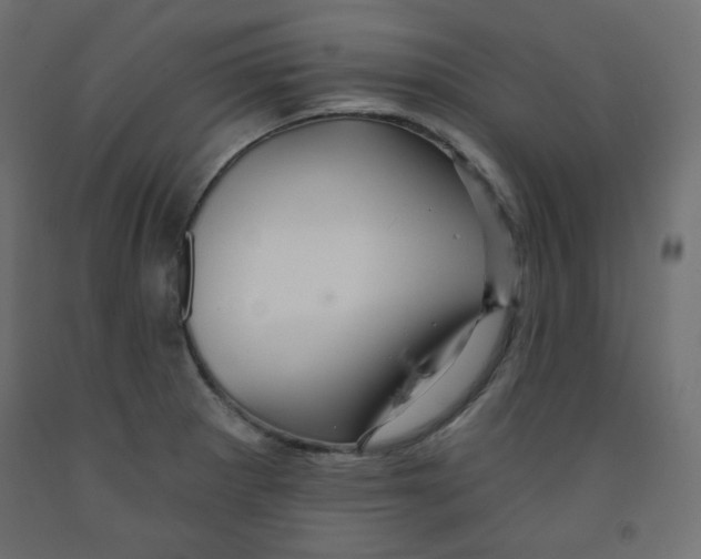 X0000091951281200710041000