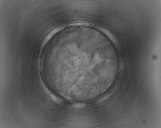 X0000091951282200710041000