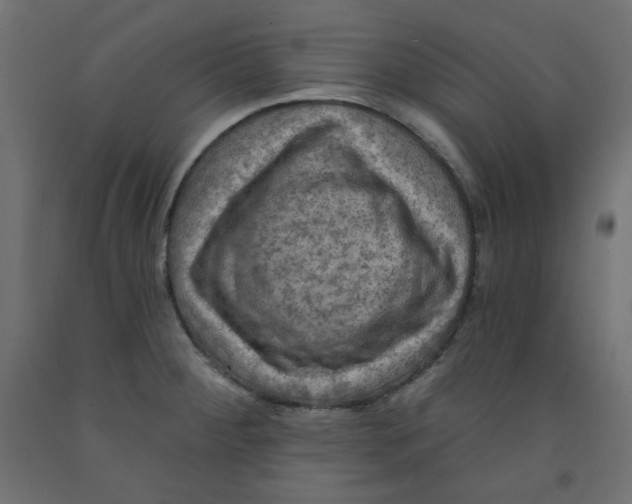 X0000091951284200710041000