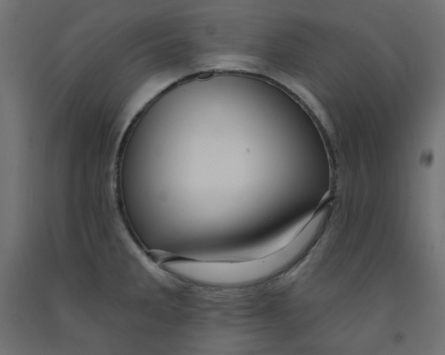 X0000091951285200710041000