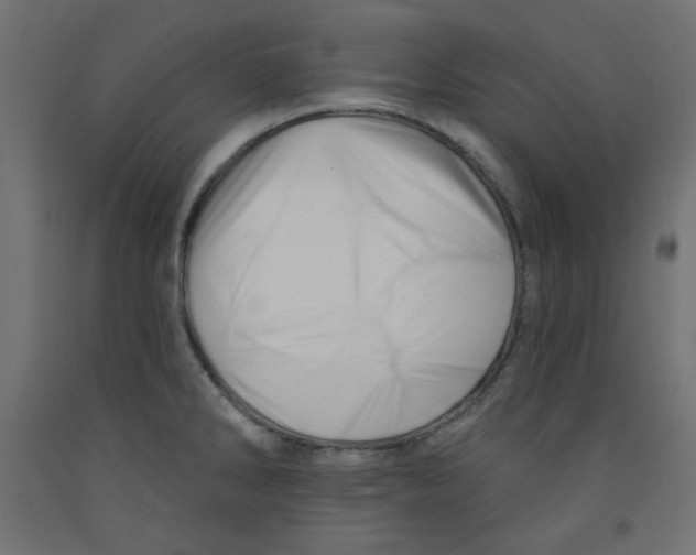 X0000091951286200710041000