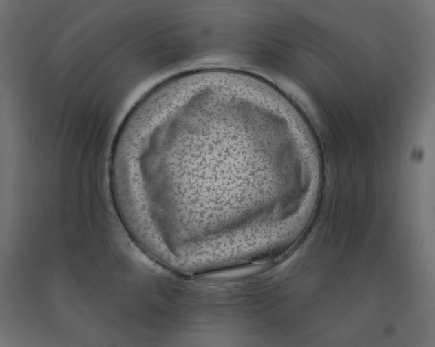 X0000091951288200710041000