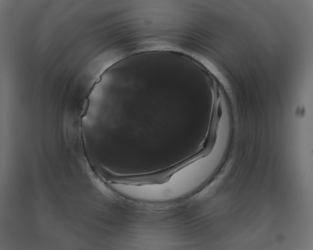 X0000091951289200710041000