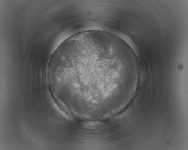 X0000091951290200710041000