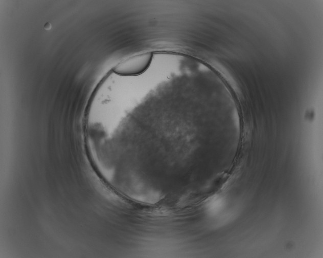 X0000091951291200710041000