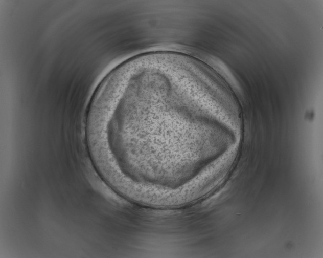 X0000091951292200710041000