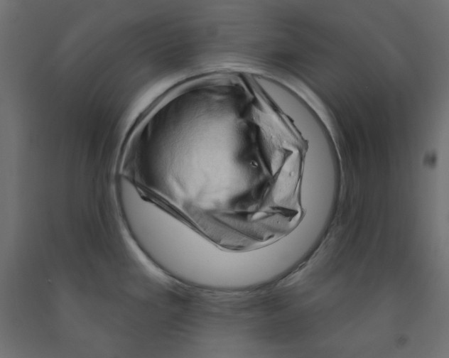 X0000091951293200710041000