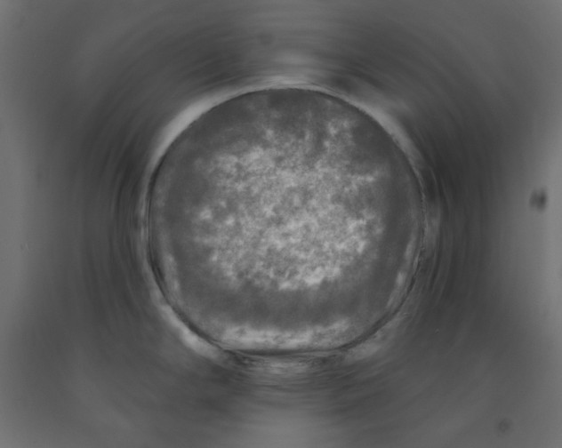 X0000091951294200710041000