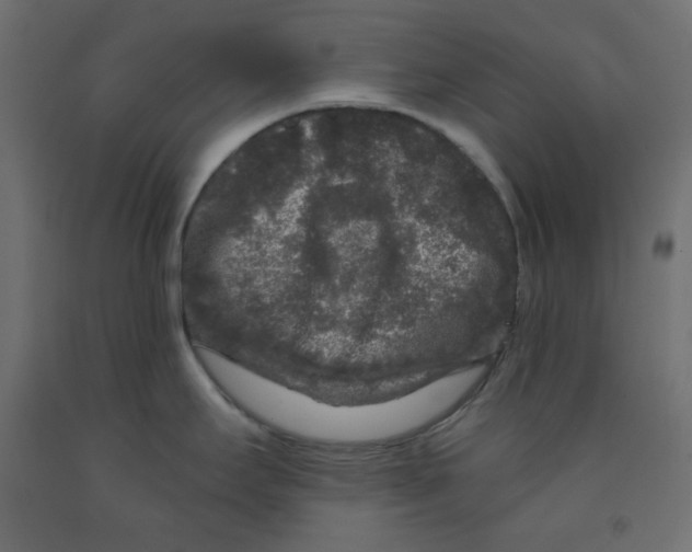 X0000091951295200710041000