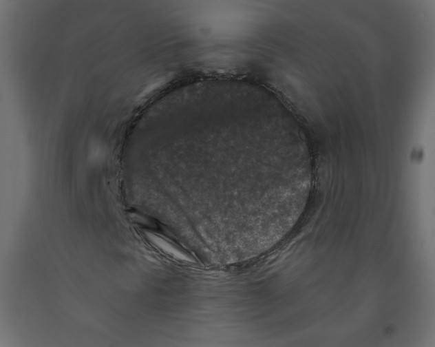 X0000091951297200710041000