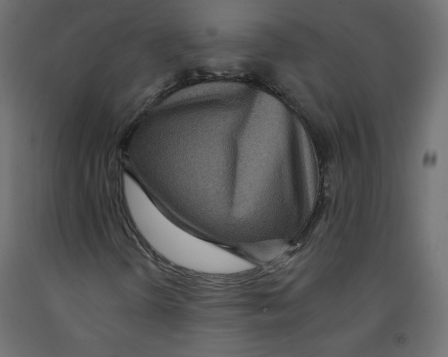 X0000091951298200710041000