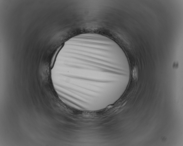 X0000091951299200710041000