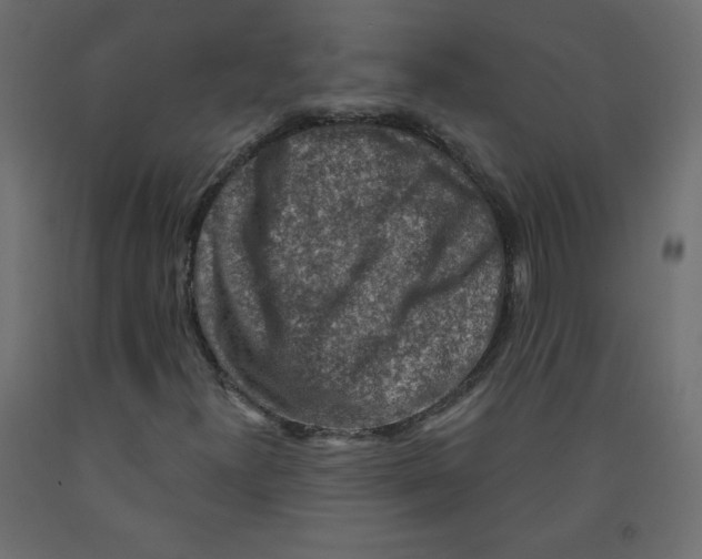 X0000091951300200710041000