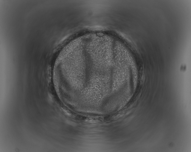 X0000091951301200710041000