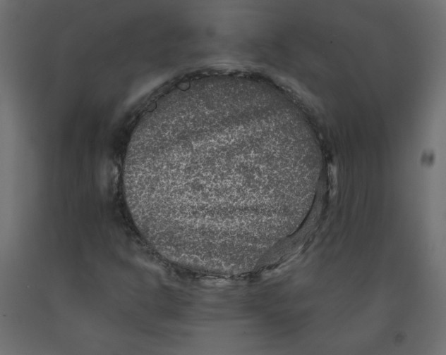 X0000091951302200710041000