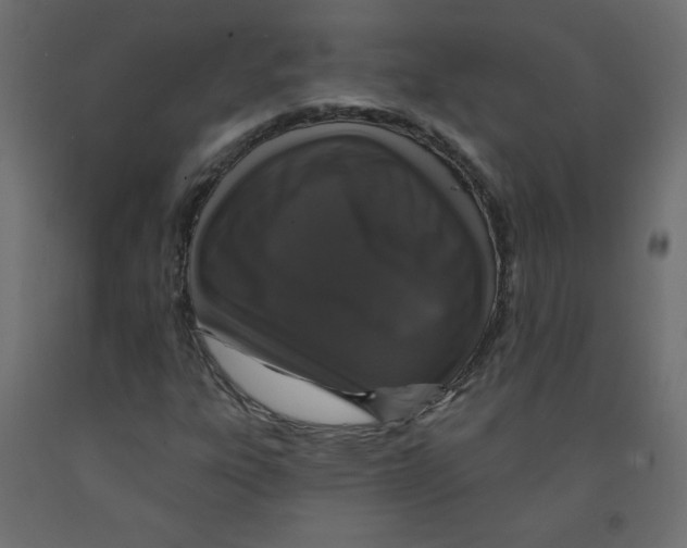 X0000091951303200710041000