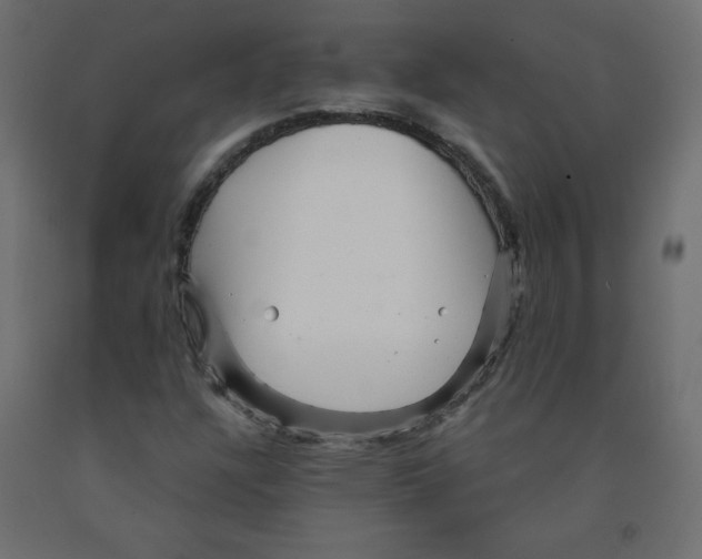 X0000091951304200710041000
