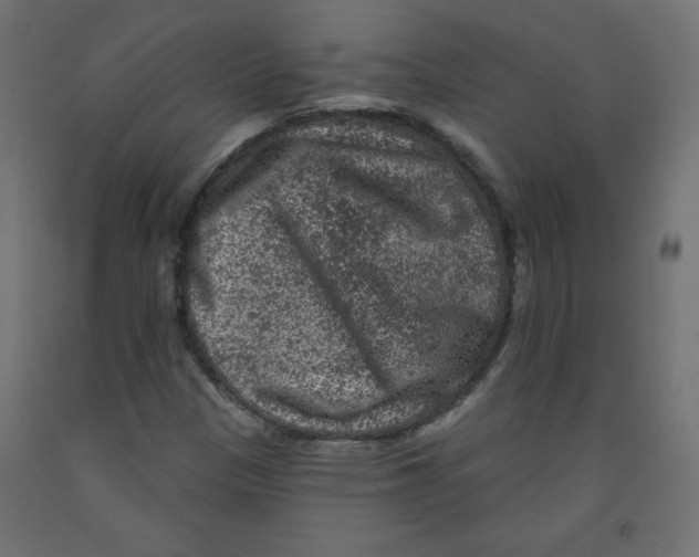 X0000091951305200710041000