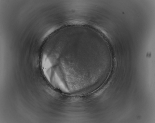 X0000091951306200710041000