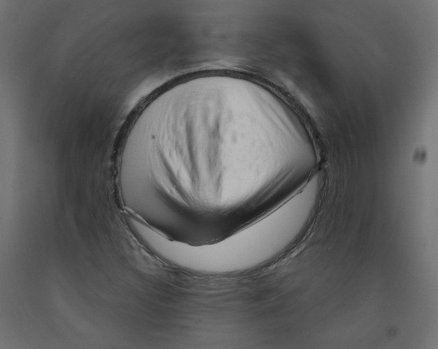 X0000091951308200710041000