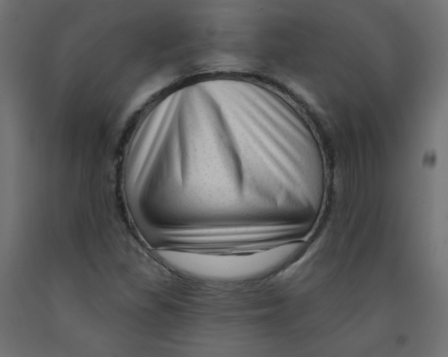 X0000091951309200710041000