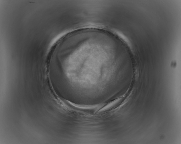 X0000091951310200710041000