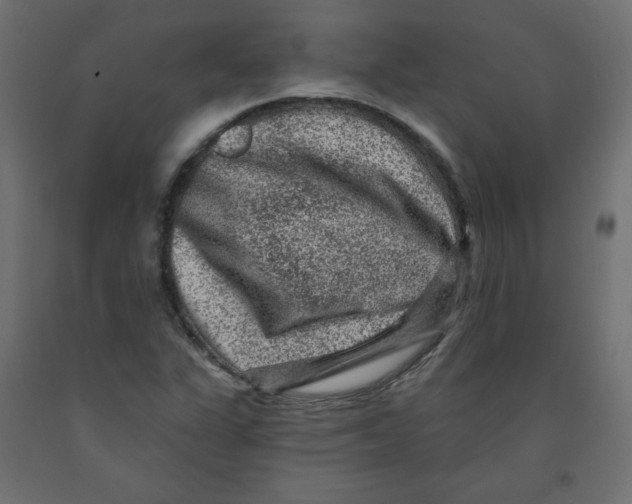 X0000091951311200710041000