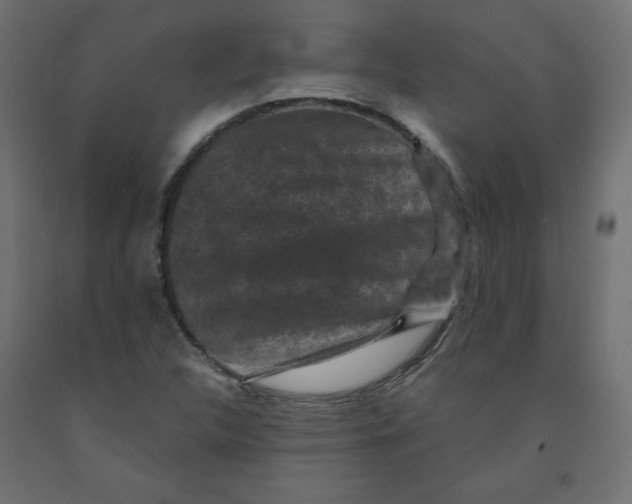 X0000091951312200710041000