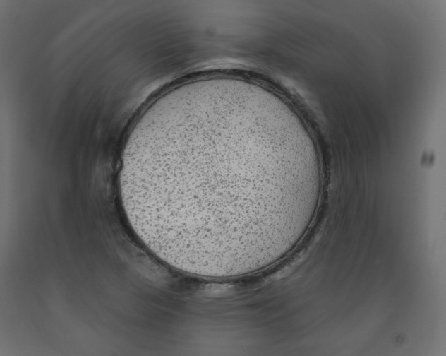 X0000091951313200710041000