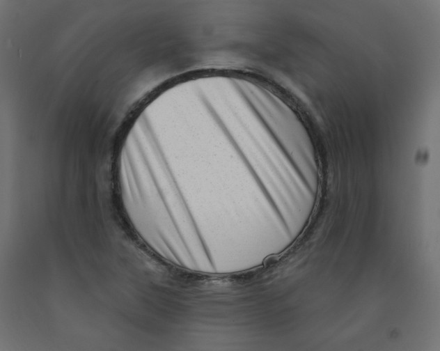 X0000091951315200710041000