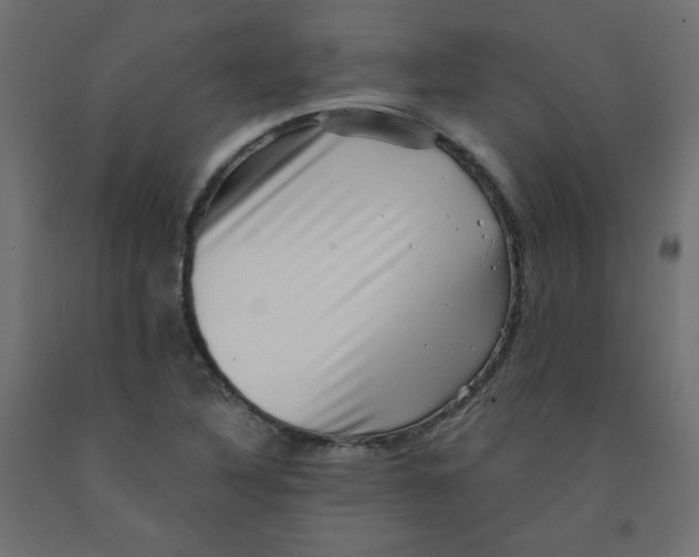 X0000091951316200710041000