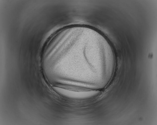 X0000091951318200710041000