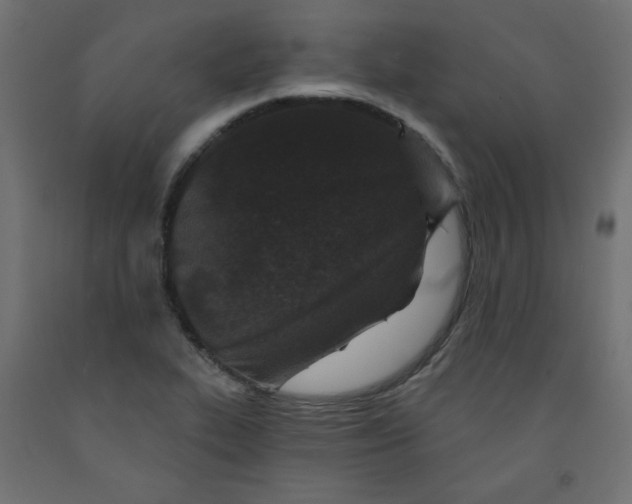 X0000091951319200710041000