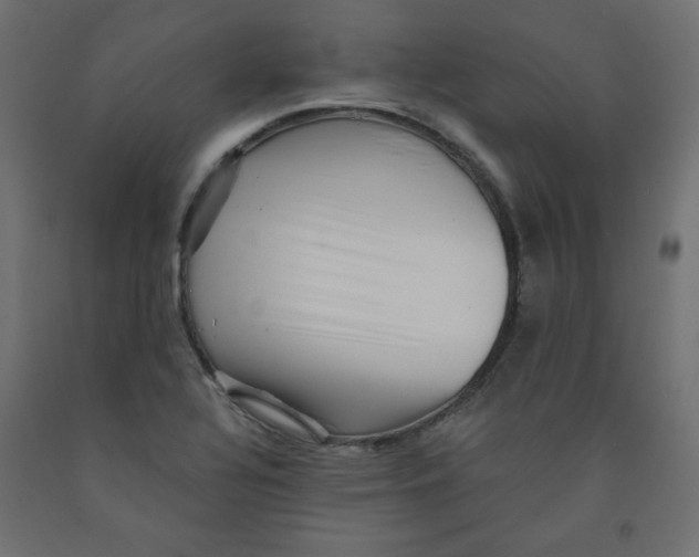 X0000091951320200710041000