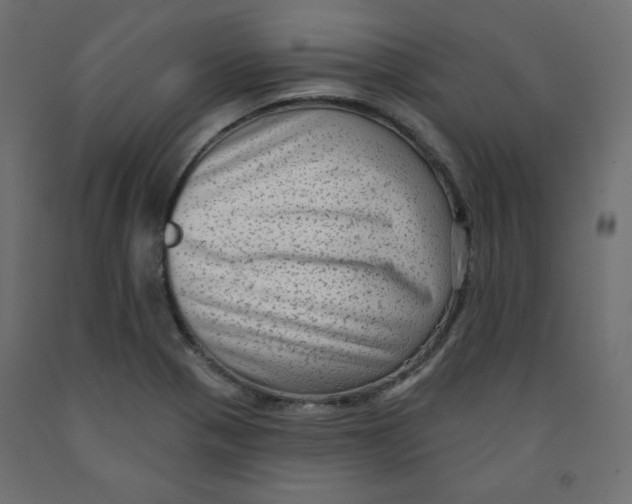 X0000091951321200710041000